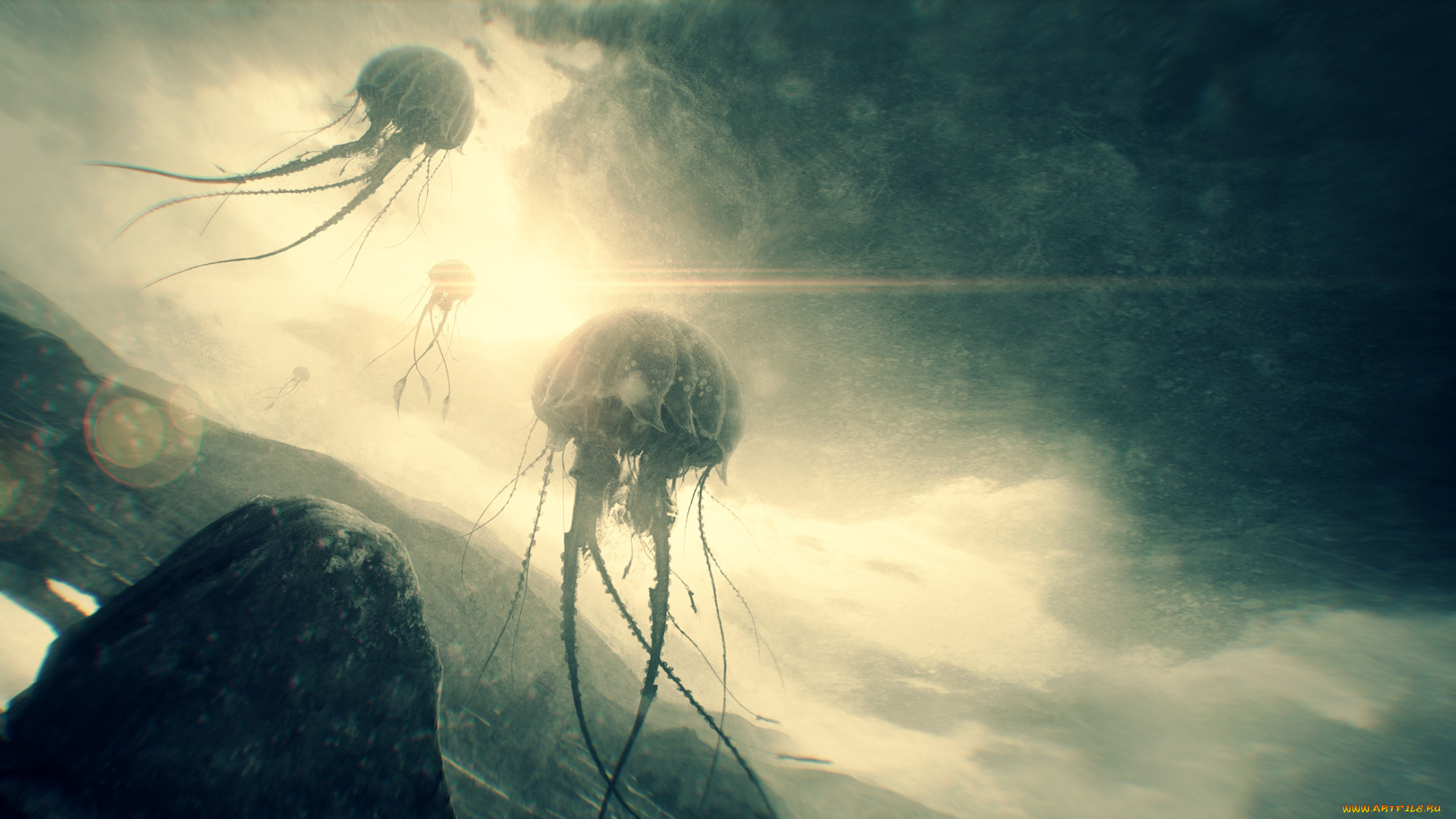 , , creatures, huge, jellyfish, floating, sky